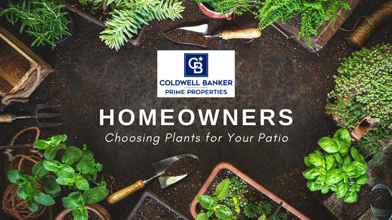 Patio Plants - Homeowners - CB Prime Properties