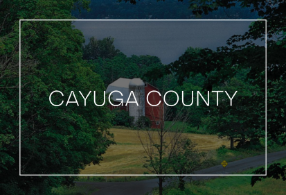 Cayuga County market update
