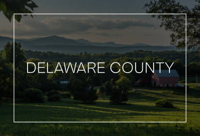 Delaware County market update