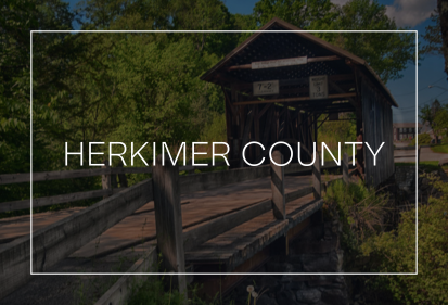 Herkimer County market update