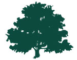 South Jefferson Chamber of Commerce